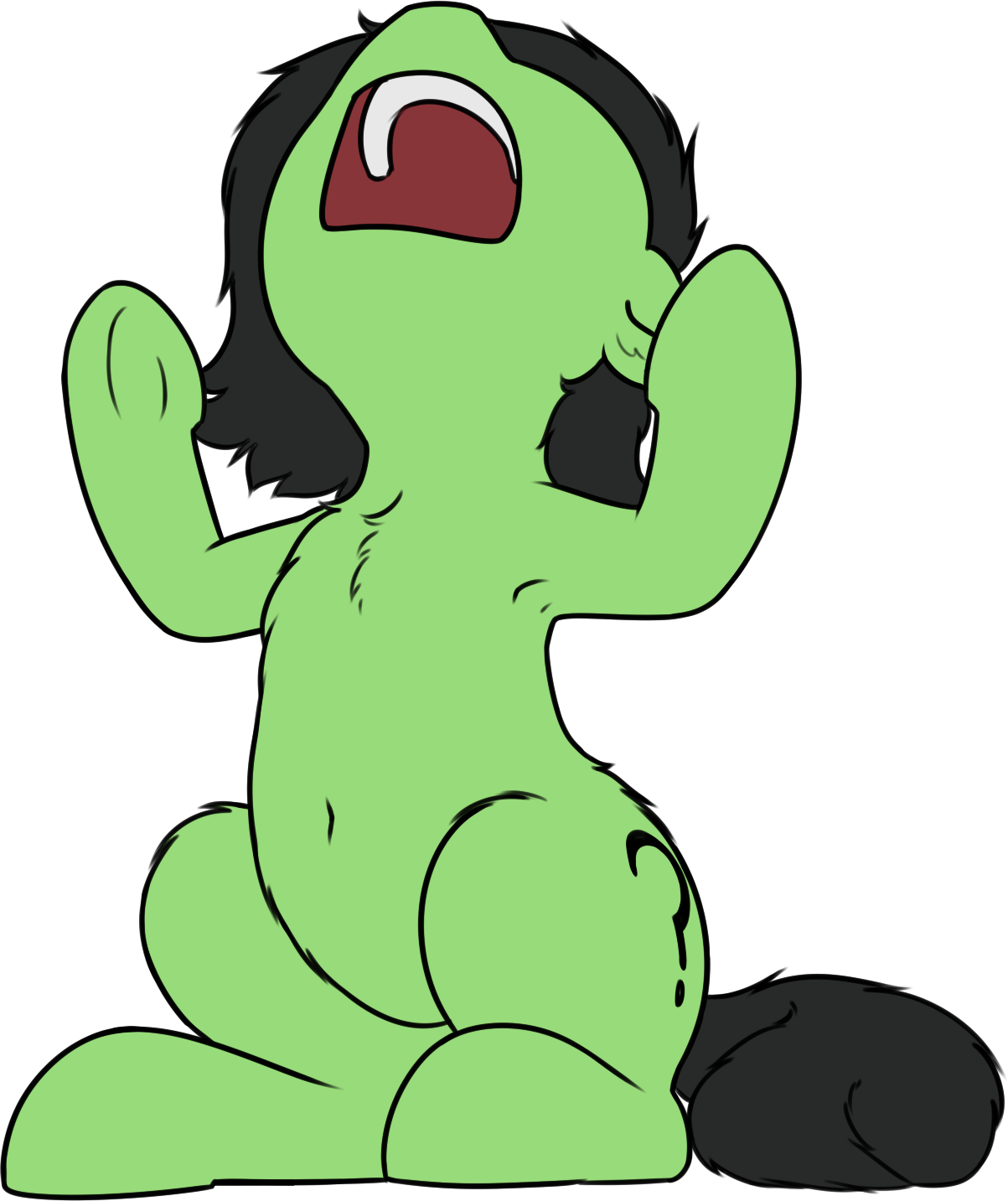 Anonfilly